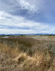 Lande de la région de Nelson, Nouvelle Zélande	