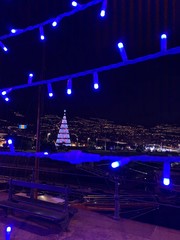 night lights in the city, christmas tree in the background, holidays in madeira island