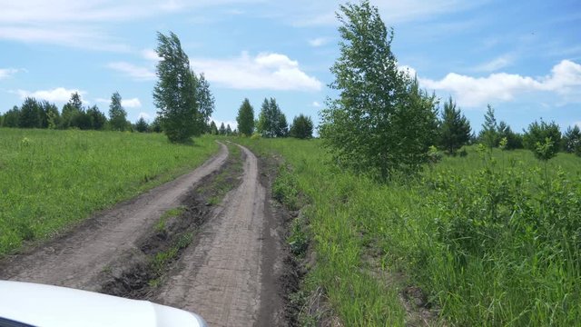 landscape of a rural road in a field, view from the side window of a car