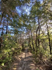 Sentier de randonnée du parc Abel Tasman, Nouvelle Zélande	
