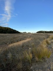 Fototapeta na wymiar Marais du parc Abel Tasman, Nouvelle Zélande 