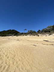 Plage déserte de sable blanc, parc Abel Tasman, Nouvelle Zélande