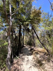 Sentier de randonnée du parc Abel Tasman, Nouvelle Zélande