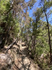 Sentier de randonnée du parc Abel Tasman, Nouvelle Zélande