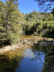 Rivi&egrave;re du parc Abel Tasman, Nouvelle Z&eacute;lande	