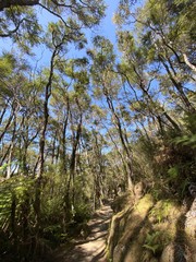 Sentier de randonnée du parc Abel Tasman, Nouvelle Zélande