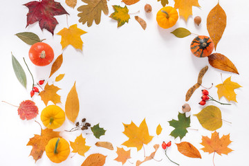 Autumn leaves frame with copy space on white background.