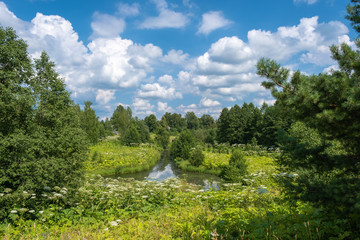 Fototapeta na wymiar Beautiful summer landscape with a small river and a cloudy sky.