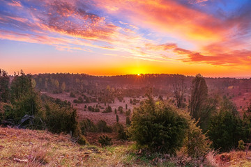 Lüneburger Heide 
