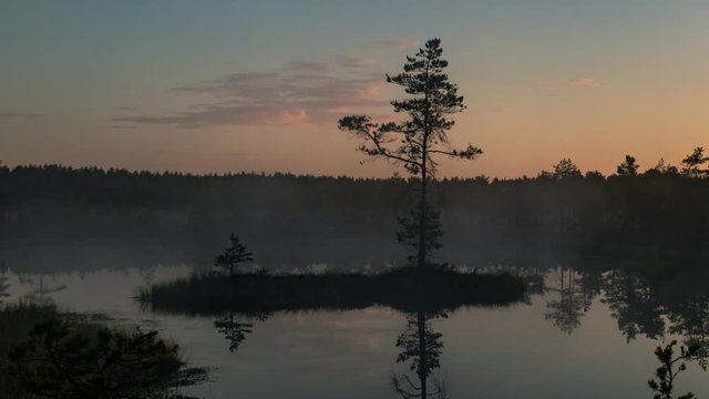 A morning time lapse of a tree on a small swamp lake island - a beautiful foggy morning with the sky growing lighter during the sunrise