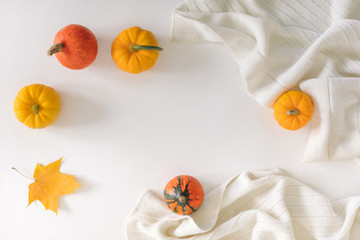 Flat lay of beautiful decorative pumpkins, warm scarf, yellow leaves on white background. Top view, autumn colors, thanksgiving day concept.