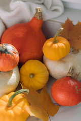 Diverse assortment of pumpkins, leaves. Autumn harvest. Fall colors, holiday home decoration concept.