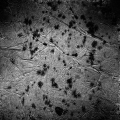 Background with grunge texture