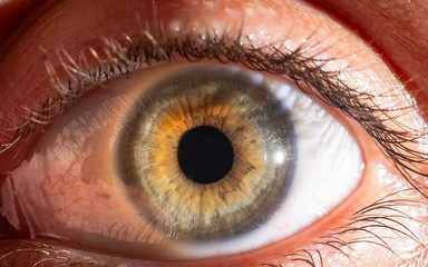 Close-up human eye. Macro photography.