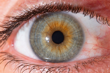 Close-up human eye. Macro photography.
