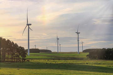 Renewable Energy in Northumberland - 372986332