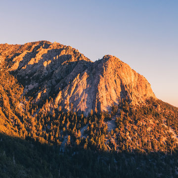 Lily Rock