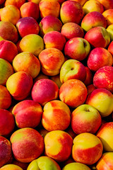Fresh organic peaches nectarine.