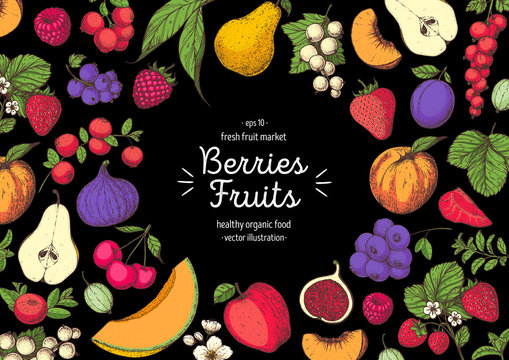 Berries and fruits drawing collection. Hand drawn berry. Colorful vector illustration.