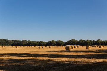 Fototapeta na wymiar bales of straw on a freshly mowed field, yellow field, blue sky