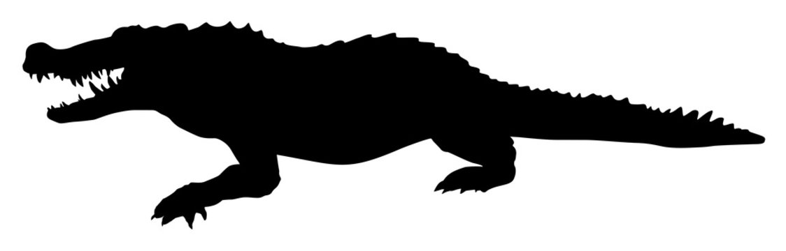 photo Crocodile Silhouette Head https stock adobe com at images silhouette of a crocodile vector 372990170 start checkout 1 content id 372990170