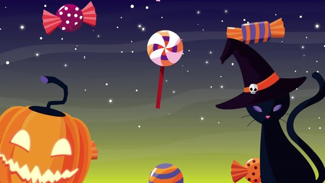 happy halloween animation with cat wearing witch hat and pumpkin