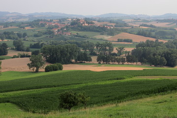 Fototapeta na wymiar Views of the Monferrato hills from Montiglio Monferrato. 