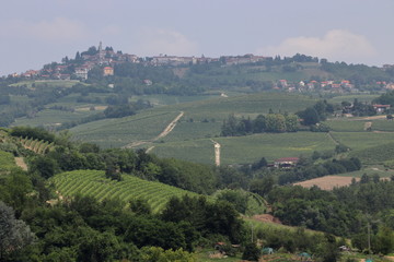 Fototapeta na wymiar Views of the Monferrato hills from Montiglio Monferrato. 
