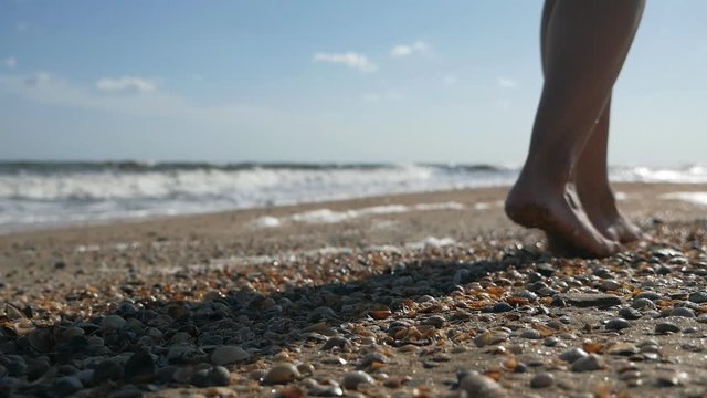 Barefooted woman tourist walks on sea shells on sand beach makes nature feet massage, side view. Girl traveller travel sea and ocean on vacation at seaside with seashells. Tourism concept