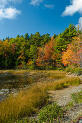 Fototapeta na wymiar Eagle Lake, Acadia National Park, Maine