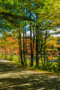Autumn View, Carriage Road, Acadia NP, Maine