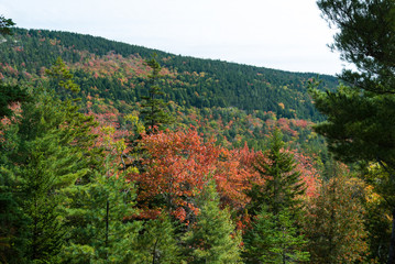 Autumn Views from Carriage Road, Acadia NP, Maine