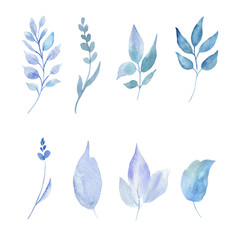 Watercolor illustration of a bouquet of blue roses, flies and twigs.Set of leaves.
