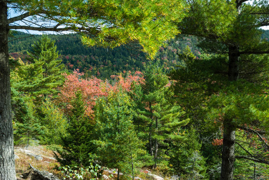Autumn Views from Carriage Road, Acadia NP, Maine