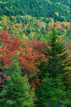 Autumn Views from Carriage Road, Acadia NP, Maine © Jerry