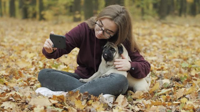 Teenager girl making selfie with funny cute pug dog. Pug dog posing for the camera. Evening autumn park, forest. Yellow autumn leaves. Teen photography hobby concept. Taking photos on a smartphone