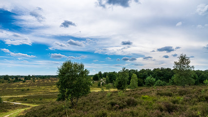 Heidschnuckenweg Lüneburger Heide 