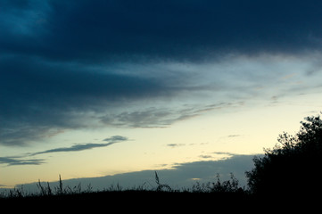 Fototapeta na wymiar blue sky before sunrise in the forest