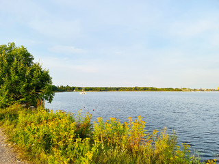 summer landscape with lake and trees