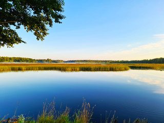 summer landscape with lake and trees