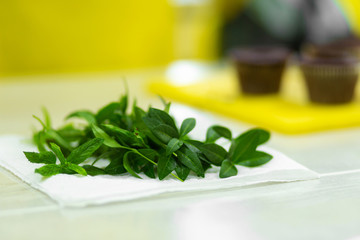 A handful of fresh green mint on the kitchen table