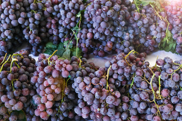 The natural state of fresh, organic and red grapes
