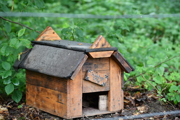 wooden small animals house in the forrest