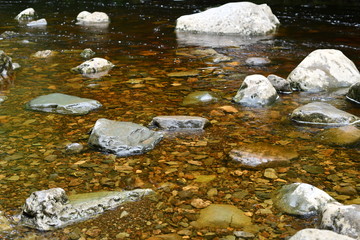 stream in the forest