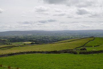 landscape with green land in england