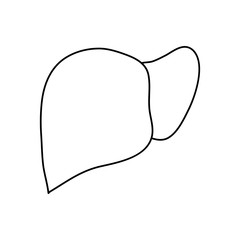 human body concept, liver organ icon, line style