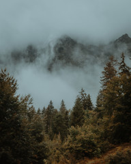 Foggy forest, Hintersee, Germany