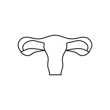 human body concept, female reproductive organ icon, line style