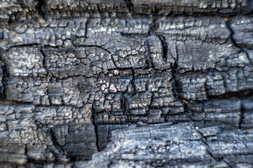 old wooden texture background