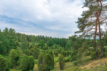 Heidschnuckenweg Lüneburger Heide